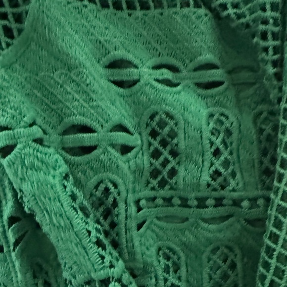 FARM Rio Green Morada Boa Guipure Lace Maxi Dress - Picture 13 of 16